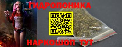 дмт Дубна