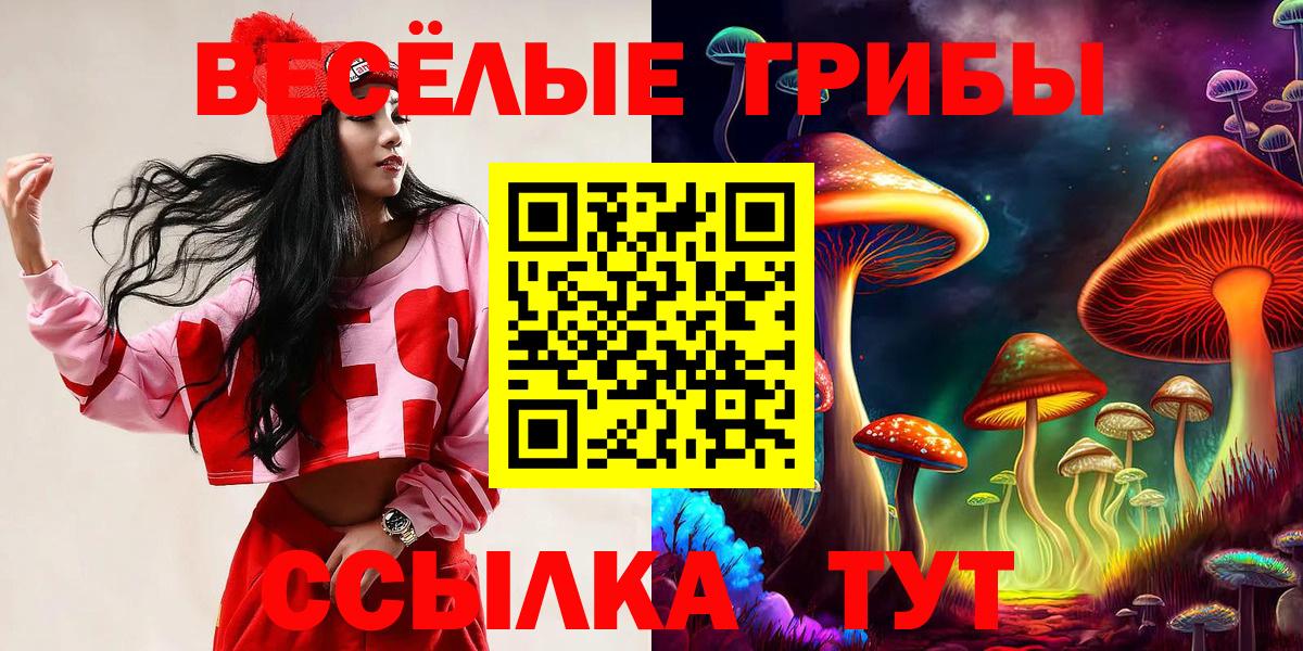 Псилоцибиновые грибы прущие грибы  Вход с VPN  Галлюциногенные грибы ЛСД  Менделеевск 