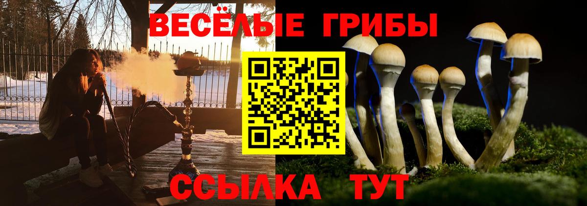 Псилоцибиновые грибы прущие грибы Менделеевск